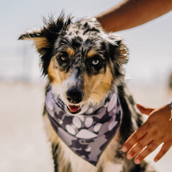 Triangle Cooling Bandana: Paw Print Camo