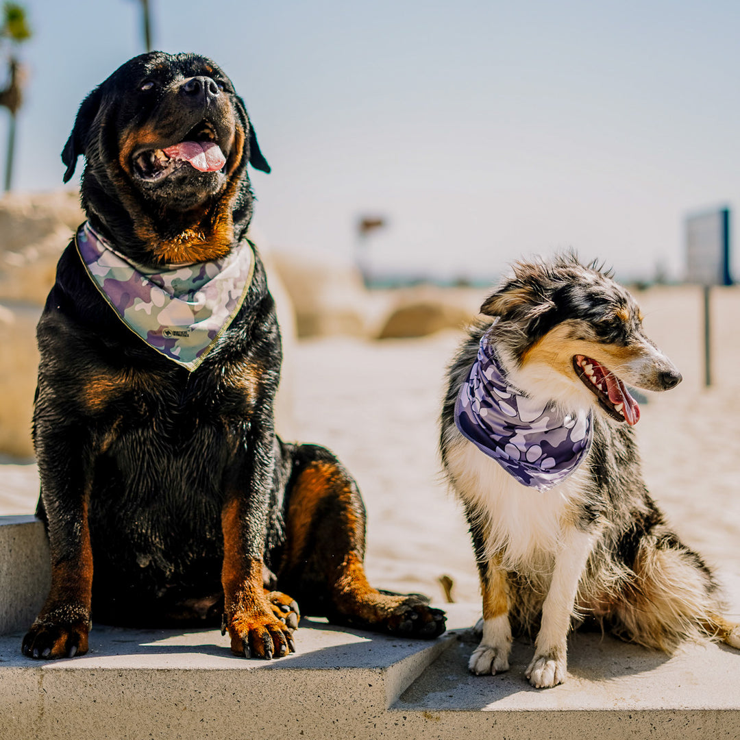 Triangle Cooling Bandana: Paw Print Camo