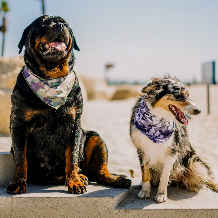 Triangle Cooling Bandana: Paw Print Camo