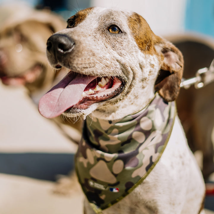 Triangle Cooling Bandana: Paw Print Camo