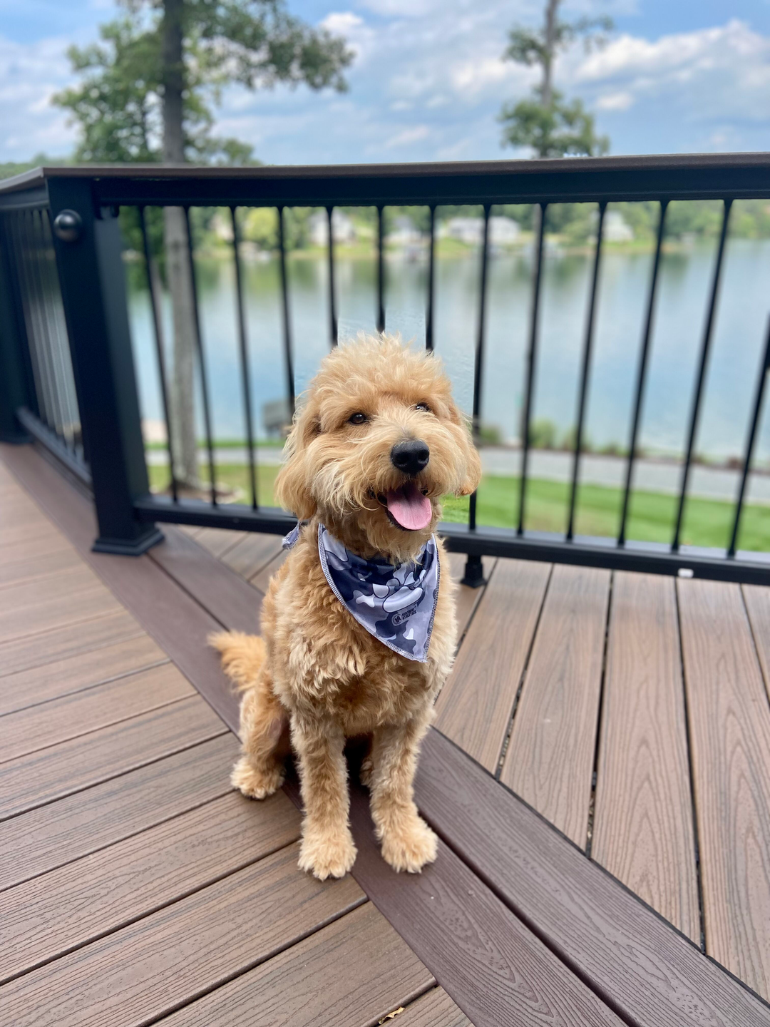 Phillies Triangle Cooling Bandana: K9 Paw Print Repeat