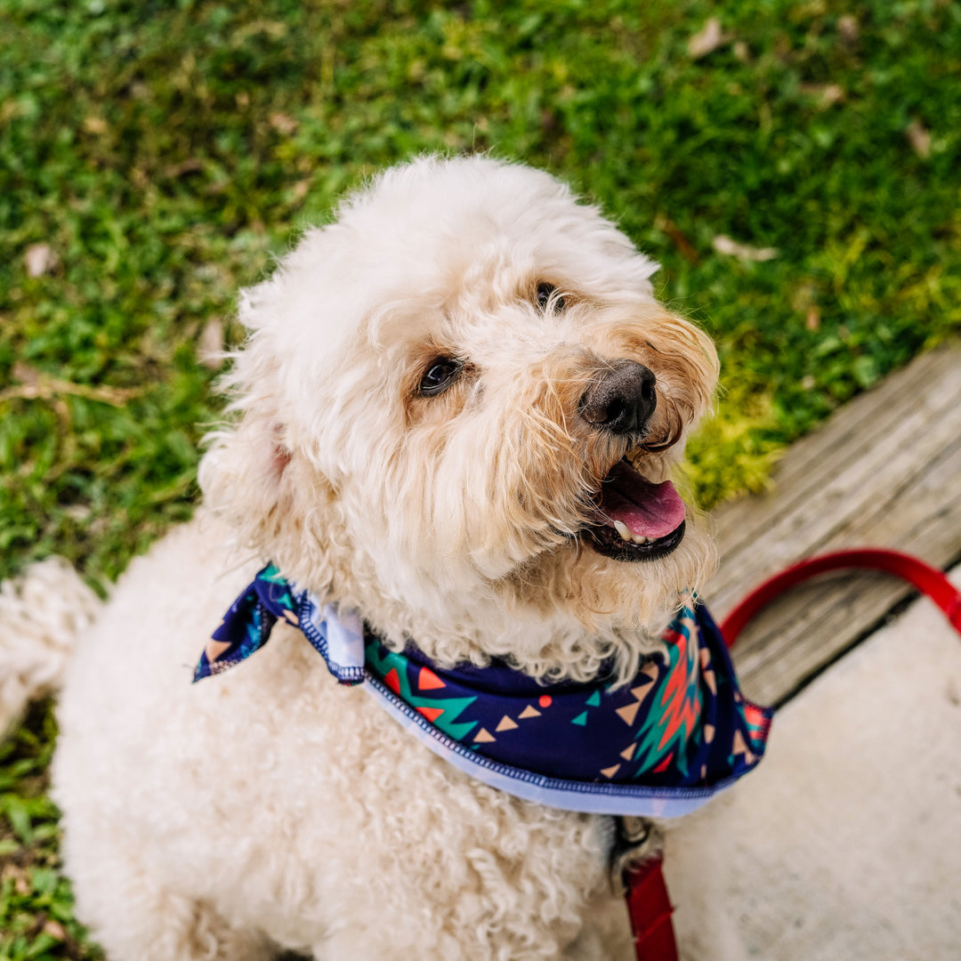 Cooling Bandana: Southwest