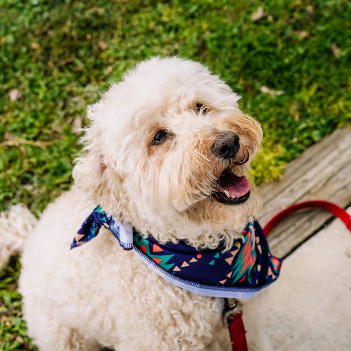 Cooling Bandana: Southwest
