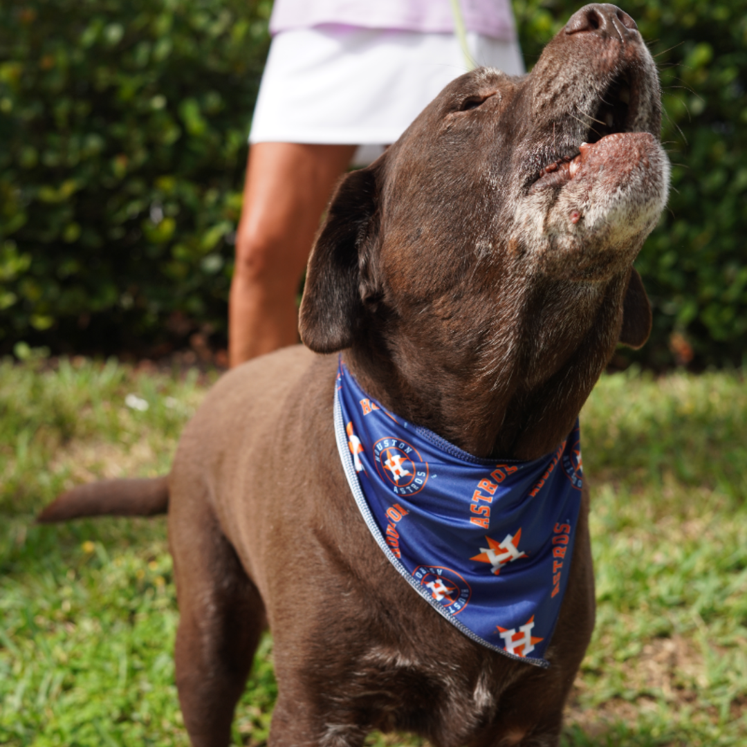 Astros Triangle Cooling Bandana: All Over